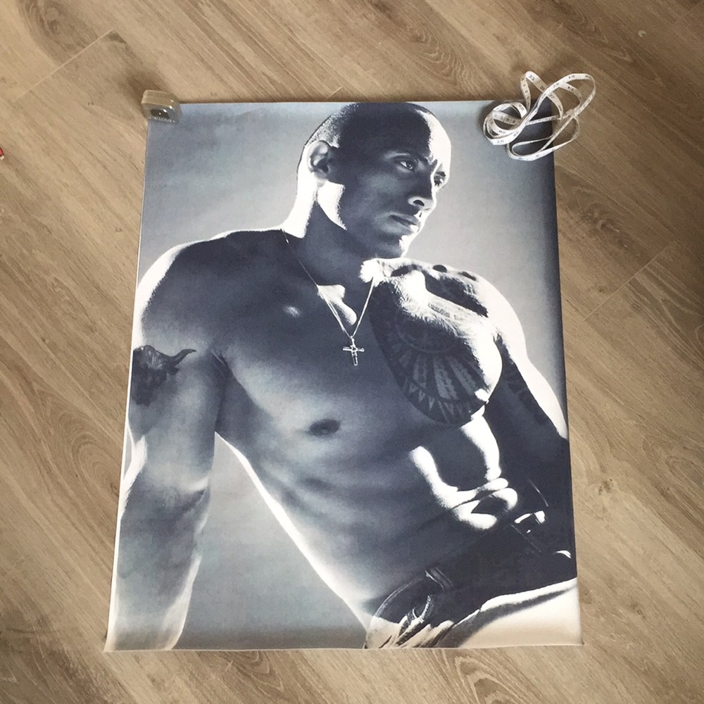 “The Rock” canvas print